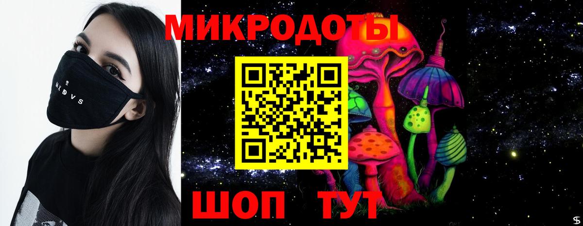 Галлюциногенные грибы Psilocybine cubensis  Галлюциногенные грибы прущие грибы  Холмск  Вход с VPN 